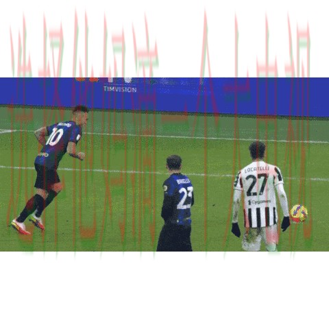 乐动体育最新网站动态资讯汇总